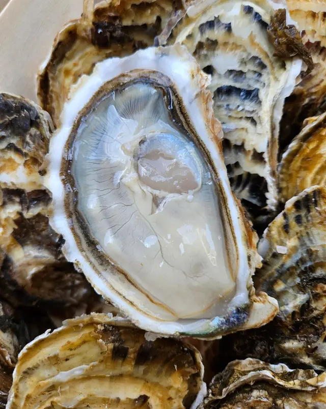 晚市85折單點正價食物餐牌 (不包括飲品)  /$10 一隻生蠔 